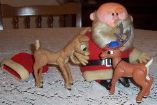100_2650.JPG