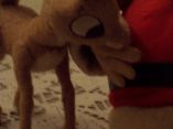 100_2619.JPG